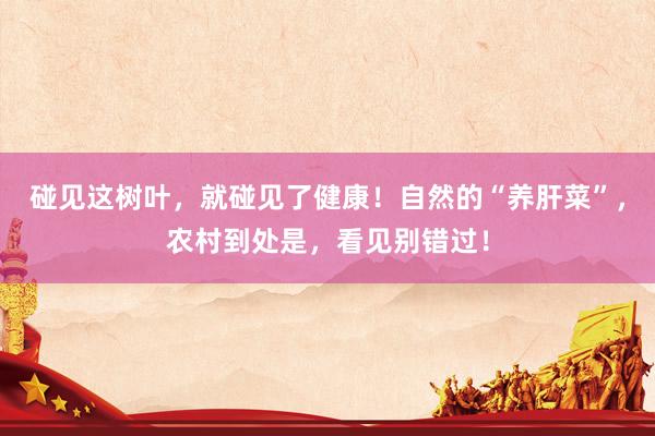 碰见这树叶，就碰见了健康！自然的“养肝菜”，农村到处是，看见别错过！