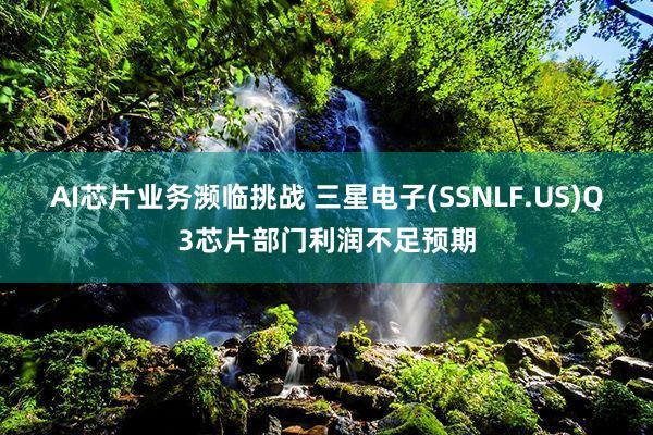 AI芯片业务濒临挑战 三星电子(SSNLF.US)Q3芯片部门利润不足预期