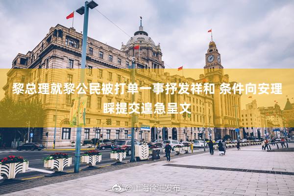 黎总理就黎公民被打单一事抒发祥和 条件向安理睬提交遑急呈文