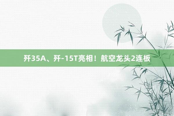 歼35A、歼-15T亮相！航空龙头2连板
