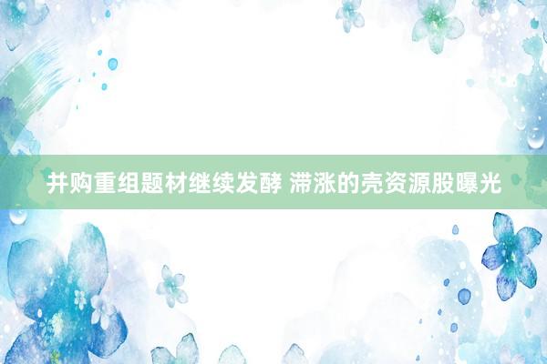 并购重组题材继续发酵 滞涨的壳资源股曝光