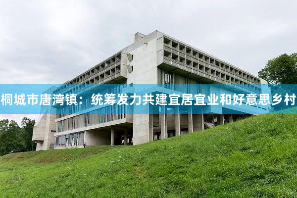 桐城市唐湾镇：统筹发力共建宜居宜业和好意思乡村