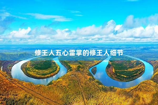 修王人五心雷掌的修王人细节