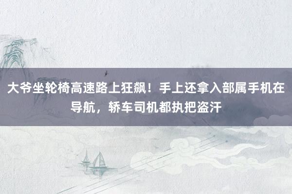 大爷坐轮椅高速路上狂飙！手上还拿入部属手机在导航，轿车司机都执把盗汗