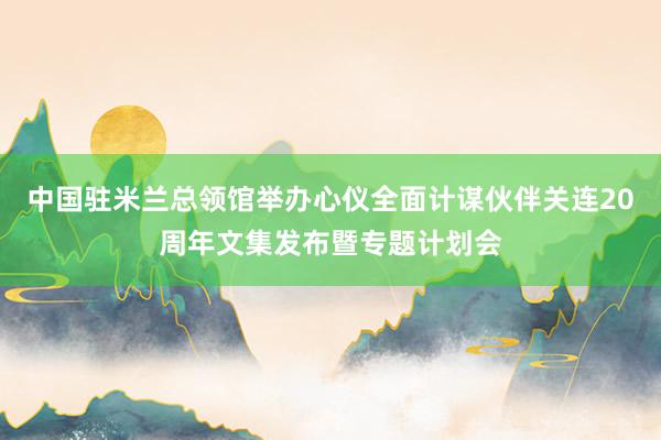 中国驻米兰总领馆举办心仪全面计谋伙伴关连20周年文集发布暨专题计划会